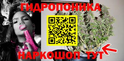 jwh Сланцы
