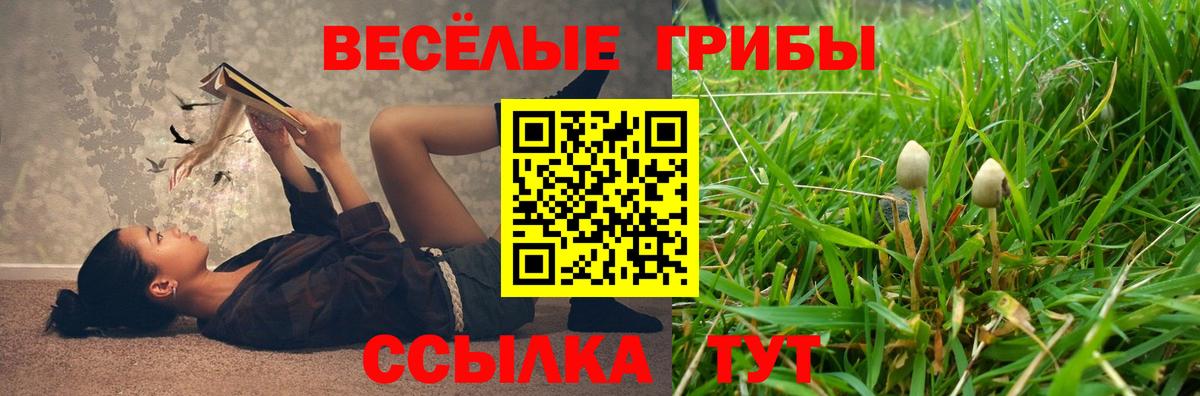 Галлюциногенные грибы Psilocybine cubensis  Псилоцибиновые грибы MAGIC MUSHROOMS  Отрадный  Вход с VPN 